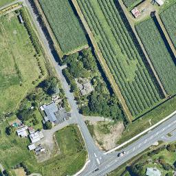 12 Prole Road, Omokoroa, Ōmokoroa
