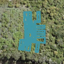 4 Te Uru Huarakau Lane, SWANSON