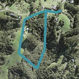 104 Lone Kauri Road, New Lynn