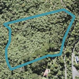327 Forest Hill Road, Waiatarua, Auckland