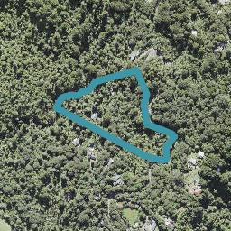 45 Opanuku Road, Henderson Valley, Auckland