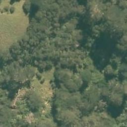 0 State Highway 1, Dome Forest, Warkworth