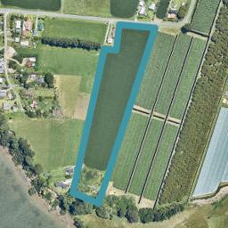 255 Waikari Road, MATAPIHI, MOUNT MAUNGANUI