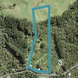 231 Forest Hill Road, Waiatarua, Auckland