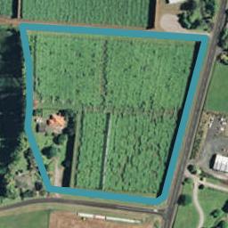 12 Castles Road, Oropi, Tauranga
