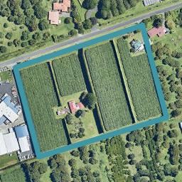 19 Newnham Road, Te Puna, Tauranga