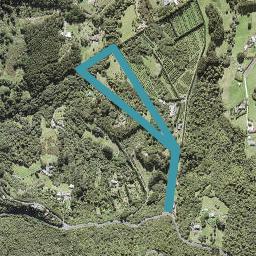 25 Te Henga Road, Henderson