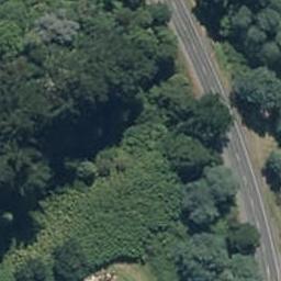 6876 State Highway 4, Taumarunui