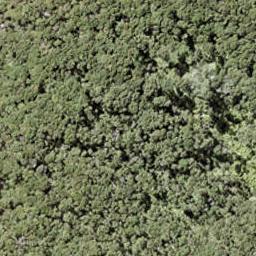 26 Vivian Bay, KAWAU ISLAND, Kawau Island