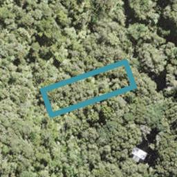 89 Lone Kauri Road, Karekare, Auckland
