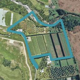 348F Rea Road, Tahawai, Katikati