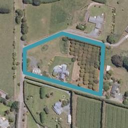 41 Forest View Road, Kamo