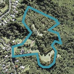 17 Rimu Road, Oratia, Auckland