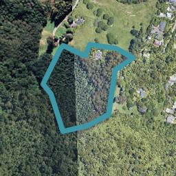 21 Ridge Road, Lake Okareka, Rotorua