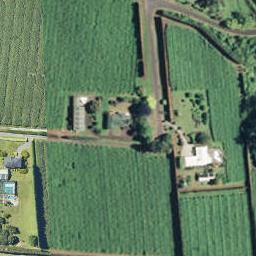 58 Castles Road, Oropi, Tauranga