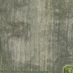 0 Seddon Street, Te Puke, TE PUKE