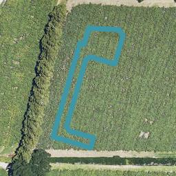 2 Tanuku Lane, Te Puke, Te Puke