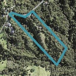 58 Albany Heights Road, Albany