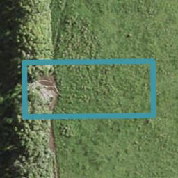50 Taiheru Road, Karaka, Papakura