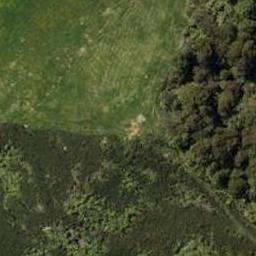 14 Maple Lane, Te Kamo, Whangārei