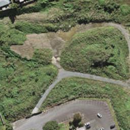 24 Huri Street, Mangere Bridge, Auckland