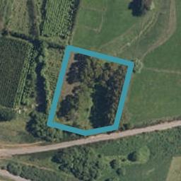 0 Grant Street, Woodville, Woodville