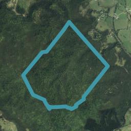 2099 Colville Road, Colville, Coromandel