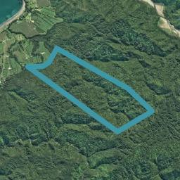 0 Maungaroa Access Road, Te Kaha, Te Kaha