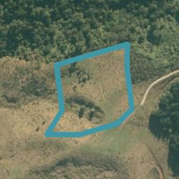 177A Moir Hill Road, Warkworth, Warkworth