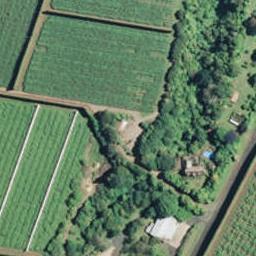 146 No 4 Road, Te Puke, Te Puke