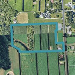 736 Pyes Pa Road, Pyes Pa, Tauranga