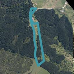 325 Rodney Road,, Whangateau