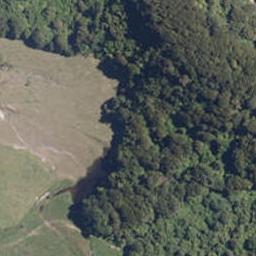0 Kopikopiko Rd, Eketahuna, Eketahuna