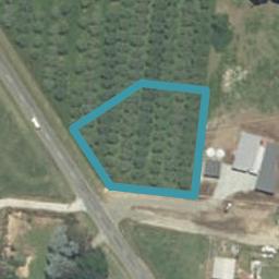 856 Frontier Road, Pirongia, Te Awamutu