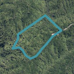 550A Cuff Road, Erua