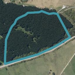 107E Hall Road, Matakohe