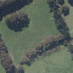 1156 Brighton Road, Brighton, DUNEDIN