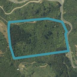 55B Paul Road, Pumpkin Hill