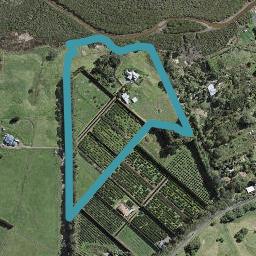 42 Walters Road, Awhitu, Waiuku