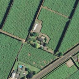 428 No 2 Road, Te Puke, Te Puke