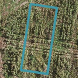 19 Huringa Road, Karaka, Papakura