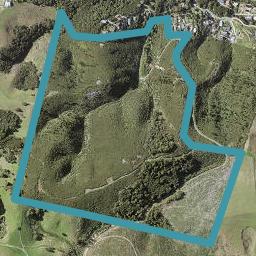 52 Rewa Road, Maraetai, Auckland