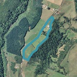 719 Work Road, Whakamarama, Katikati