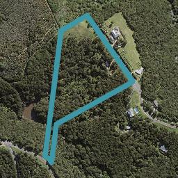 100 Musson Drive, Waiheke Island, Waiheke Island