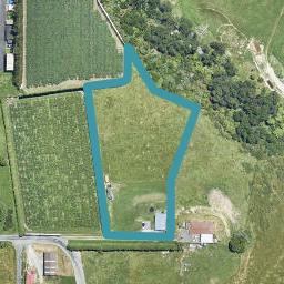 479B Oropi Road, Oropi, Tauranga