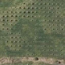 0 Olea Lane, Mangawhai, Mangawhai
