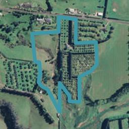 177 Woodland Road, Tahawai, Katikati