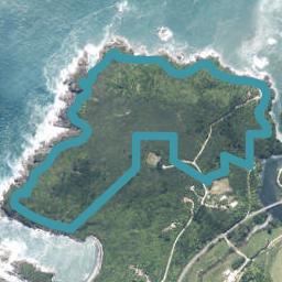 55 Cemetery Road, Charleston, Cape Foulwind