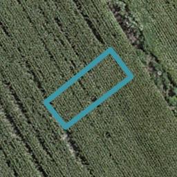 61 Mutetai Road, Clarks Beach, Clarks Beach