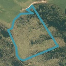 155 Waere Valley Lane, Warkworth, Warkworth